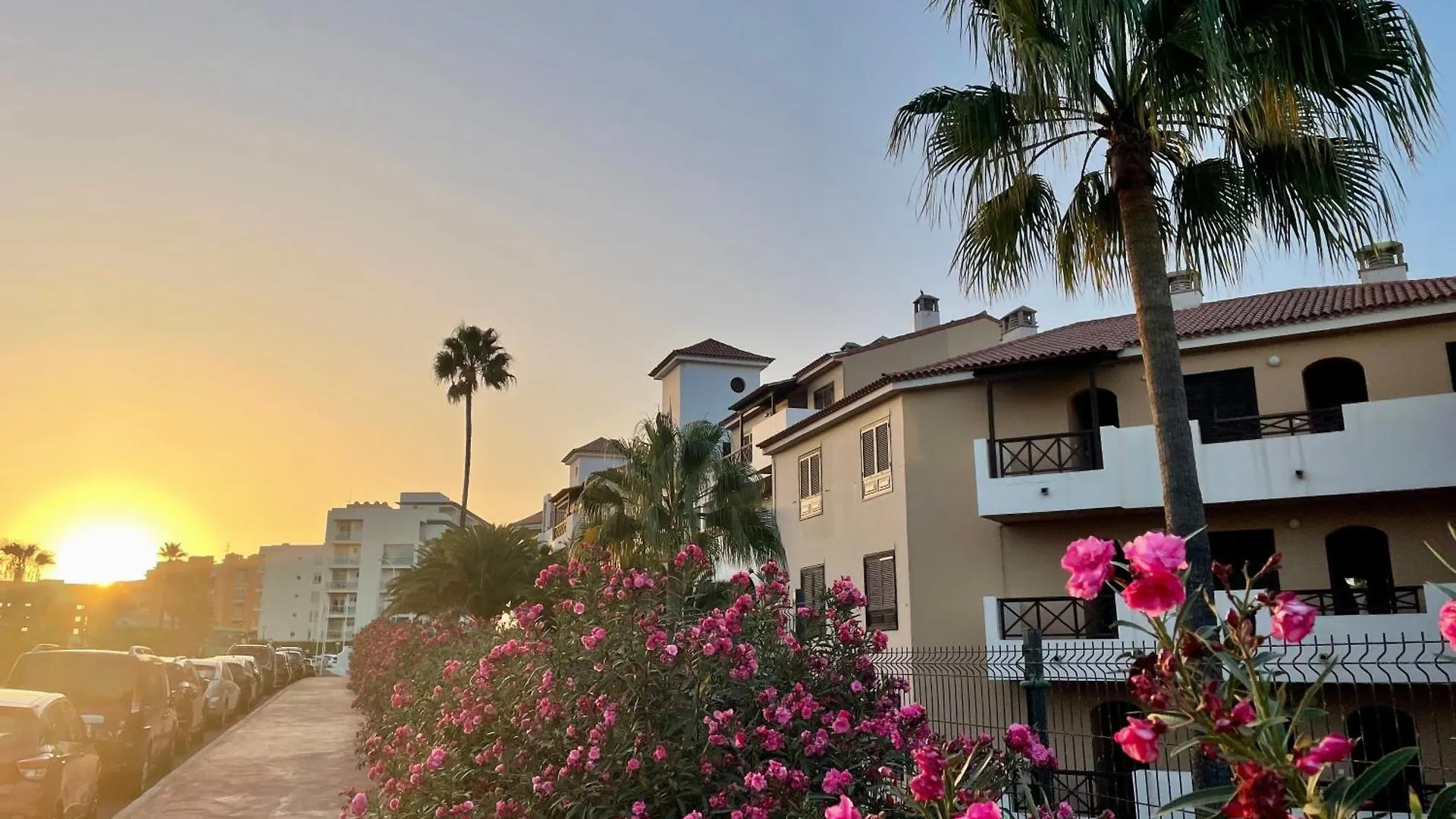 Διαμέρισμα La Fiesta Apartman Σαν Μιγκέλ ντε Αμπόνα